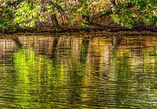 Wall Art "Autumn reflection"