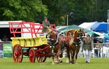 Photo 6x4 The South of England