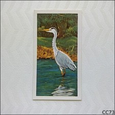 Brooke bond british birds - brooke, #7