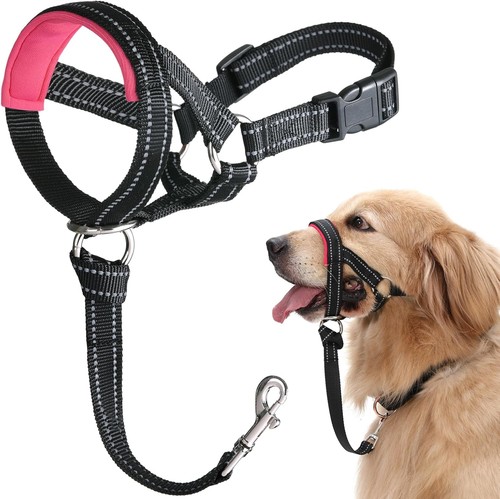 Dog head collar - collar,, no