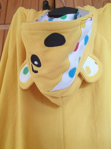 Pudsey bear adult - pudsey,