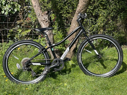 Pinnacle inch bike junior - bike,