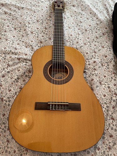 Acoustic guitar with - acoustic, carry
