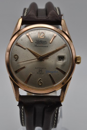 Waltham starwinner rose - rose, gold