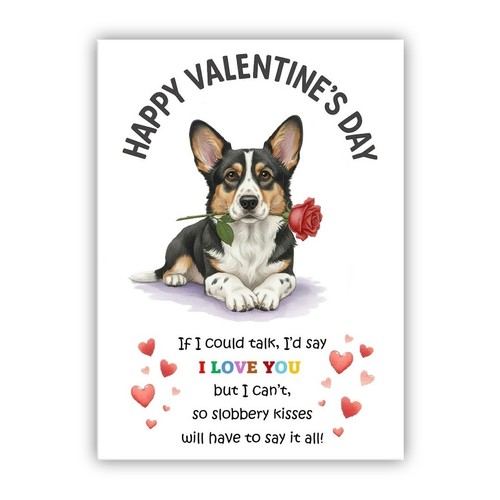 Cardigan welsh corgi - cardigan,