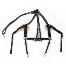 John Whitaker Valencia 5 Point