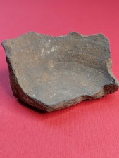 Roman Pottery Sherd