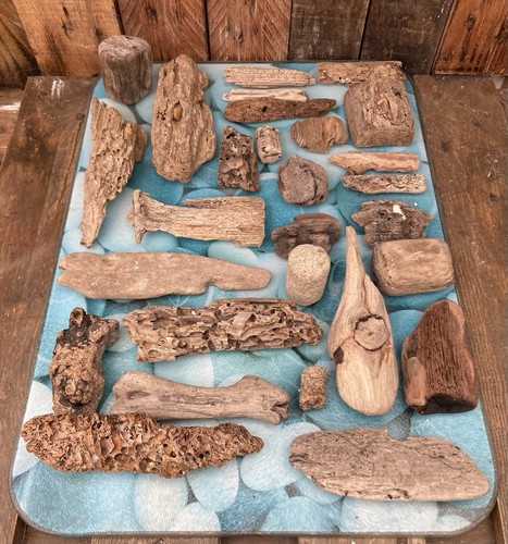 Unique driftwood pieces - driftwood,
