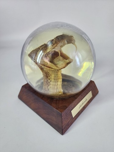 Vintage glass dome - dome, embedment