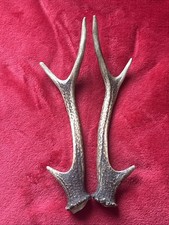 PAIR OF SIKA DEER ANTLERS