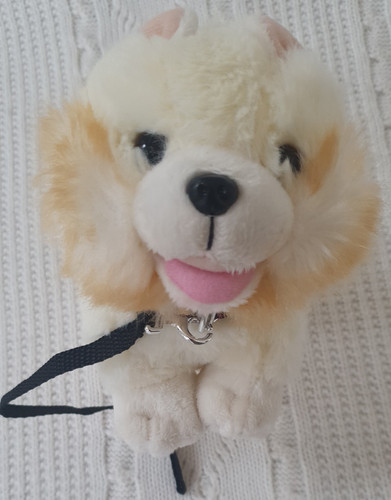 Our generation doll - doll, pomeranian