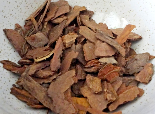 Orchid bark flowers - orchid,