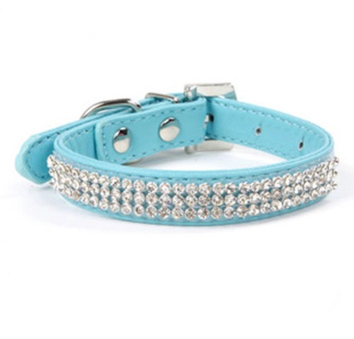 Beautiful puppy dog collar - puppy,