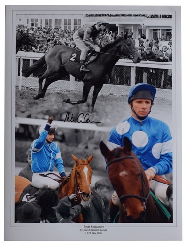 Peter scudamore signed - scudamore,