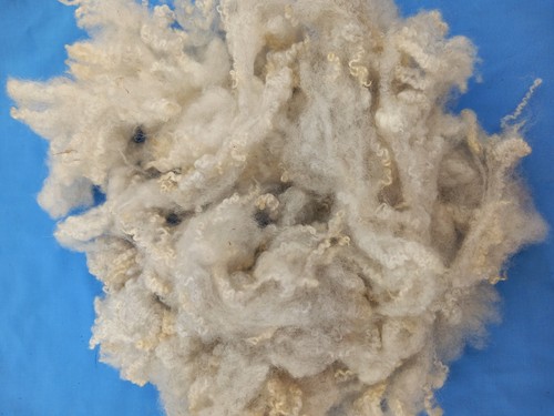 Light grey washed soft curly - light,