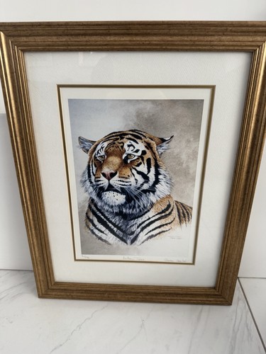 Stephen gayford tiger - gayford,