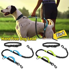 Hands Free Dog Pet Leash Lead