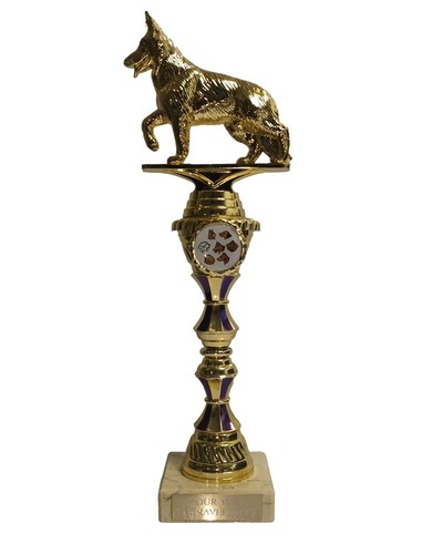 Personalised gold dog show - personalised,