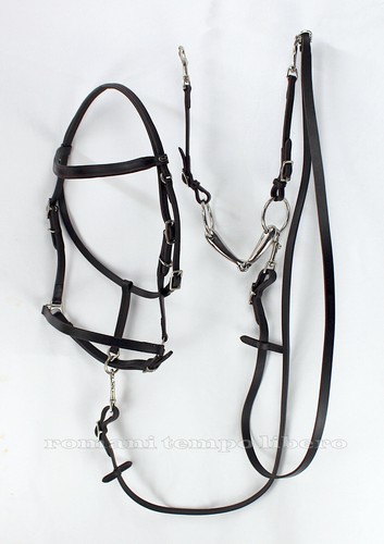 Bridle capezza trekking - bridle,