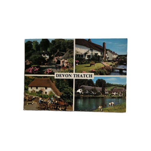 Devon thatch multi view - thatch., john