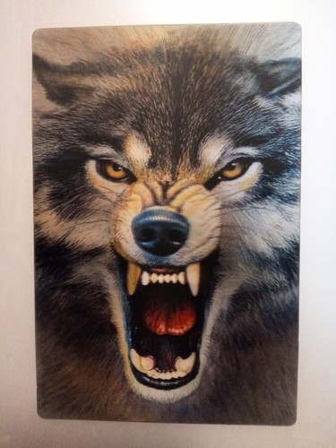 The wolf lenticular - wolf,