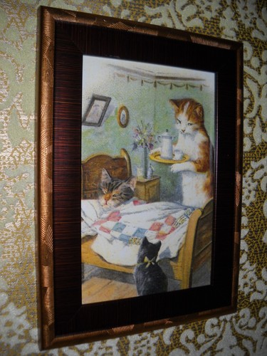 Kitten served bed x - served, 6