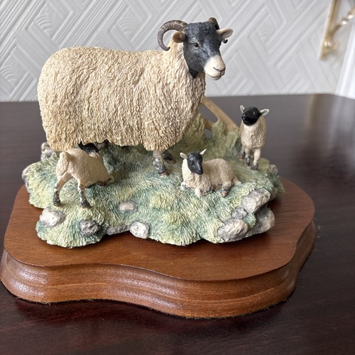 Border fine arts - scotch, sheep