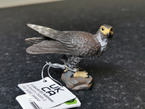 Collect peregrine falcon - collect,