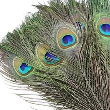 10pcs real peacock feather - 10pcs,