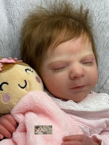 Pbn bargain reborn - pbn***, baby
