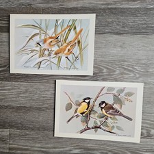 2 Basil Ede Bird Prints