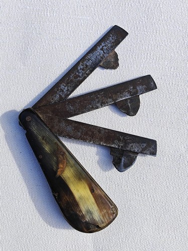 Antique folding bloodletting - antique,