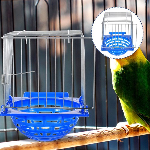 Bird nest hatching - bird,