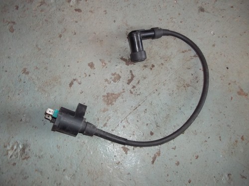 Peugeot vivacity 100 coil