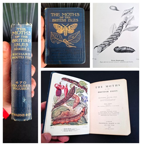 1907 the moths of - 1907,