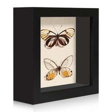 5x5 Shadow Box Frame with