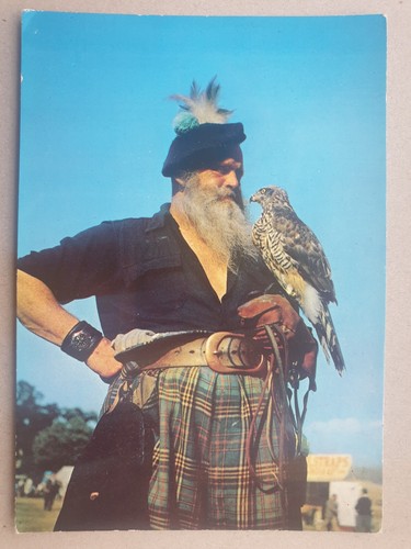 The falconer vintage postcard - the,