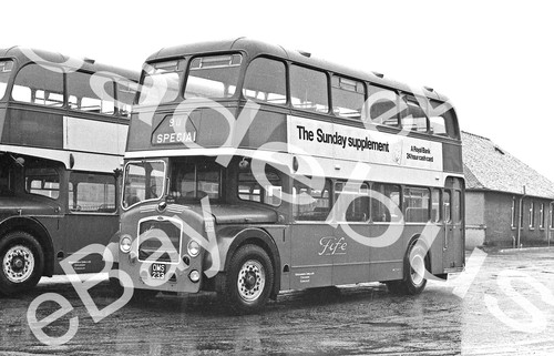 Bus negative copyright - negative, &