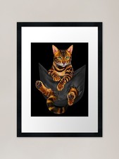 Funny Bengal Cat In Pocket