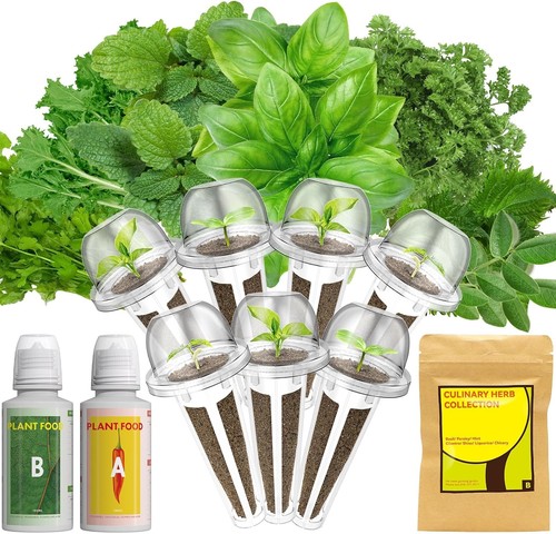 Gourmet herb seed - herb, kit