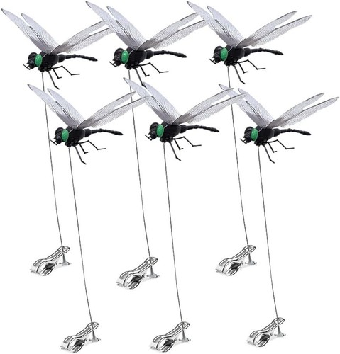 Pack dragonfly clip 3d - 6,