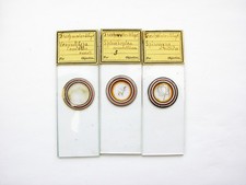 3 Antique Microscope  Slides