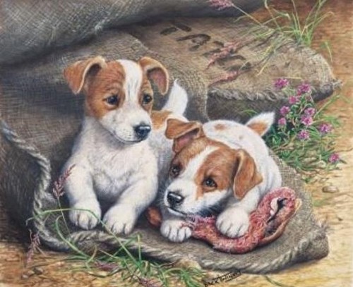 Jack russells 1000 piece - russells,
