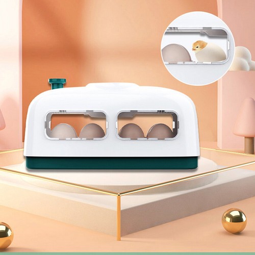 Egg incubator fully - egg,