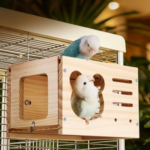Budgie nesting box - budgie, space