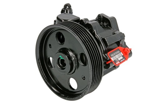 Hydraulic steering pump fits