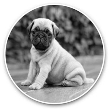 2 x Vinyl Stickers 7.5cm (bw)