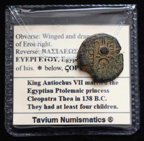 Greek seleucid eros - vf,