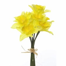 Daffodils 9 Stem Bunch