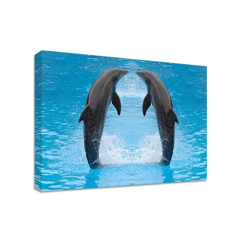 Dolphin kiss framed - dolphin, canvas